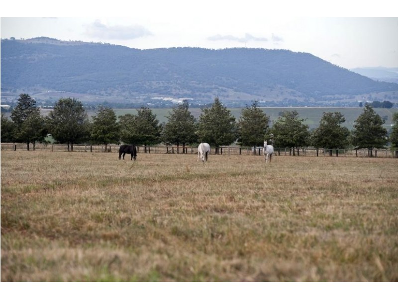 224 Yarrandi Road, Scone NSW 2337