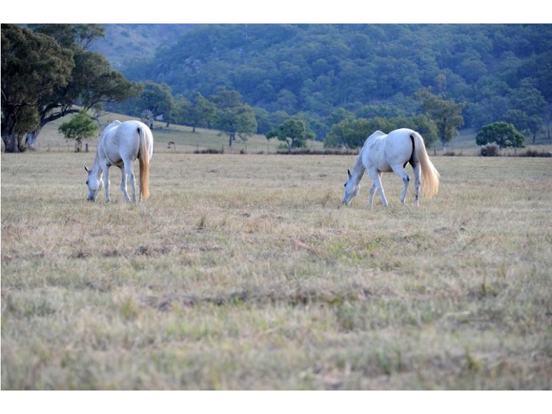 224 Yarrandi Road, Scone NSW 2337