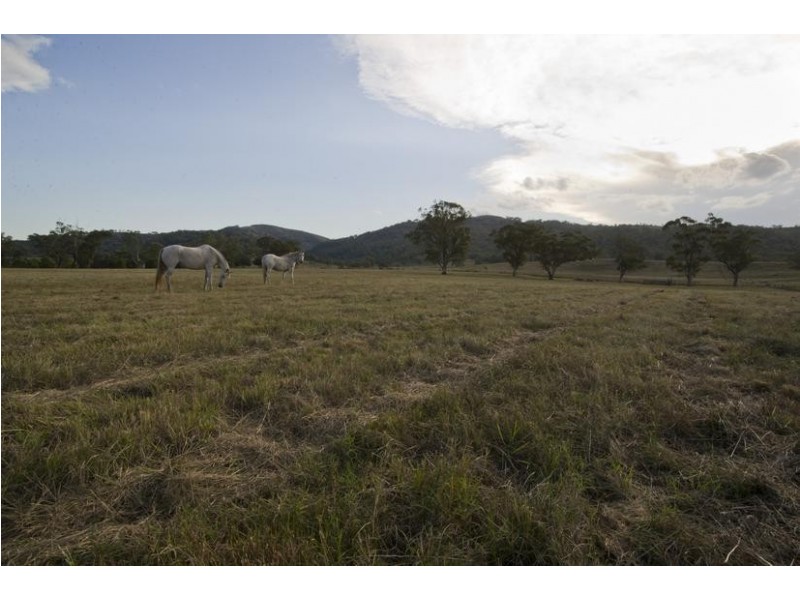 224 Yarrandi Road, Scone NSW 2337