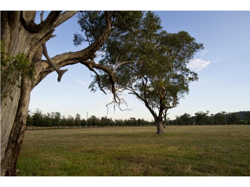 224 Yarrandi Road, Scone NSW 2337