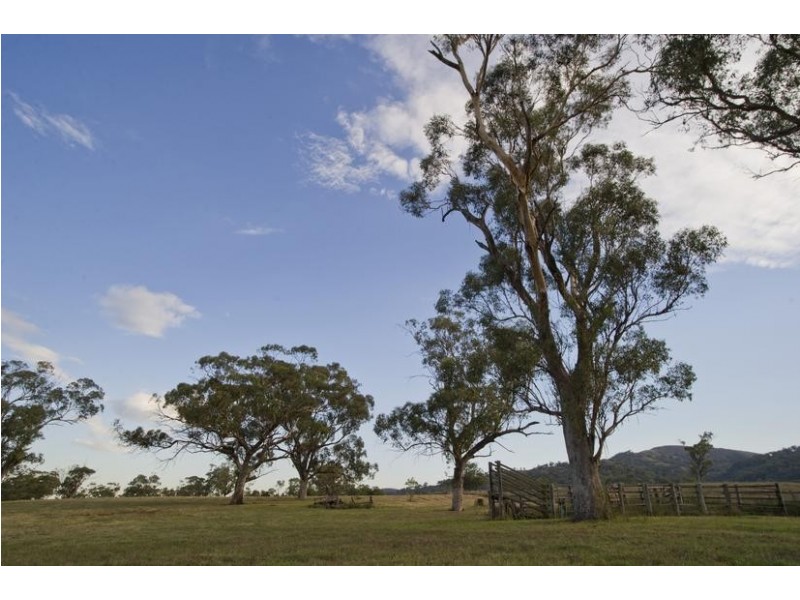 224 Yarrandi Road, Scone NSW 2337