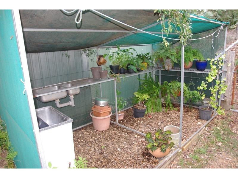 124 Haydon Street, Murrurundi NSW 2338