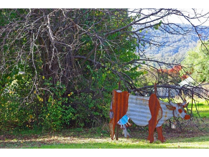 96 Haydon Street, Murrurundi NSW 2338