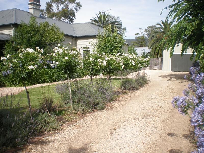 24 Oxford Road, Scone NSW 2337