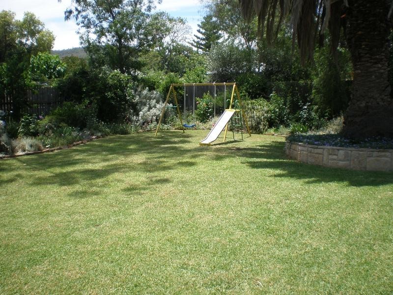 24 Oxford Road, Scone NSW 2337