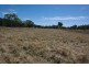 1142 Warrah Creek Road, Willow Tree NSW 2339