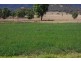 1142 Warrah Creek Road, Willow Tree NSW 2339