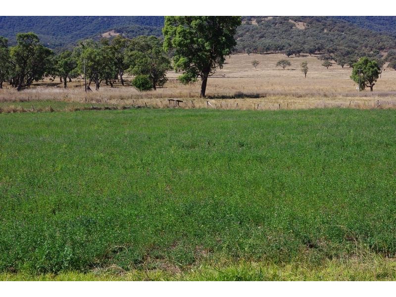 1142 Warrah Creek Road, Willow Tree NSW 2339