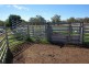 1142 Warrah Creek Road, Willow Tree NSW 2339