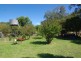 1142 Warrah Creek Road, Willow Tree NSW 2339