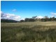 62 Warrah Creek Road, Willow Tree NSW 2339