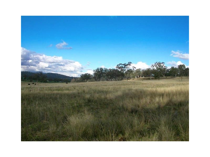 62 Warrah Creek Road, Willow Tree NSW 2339