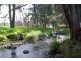 720 Sparkes Creek Road ( off Upper Dartbrook Road ), Scone NSW 2337