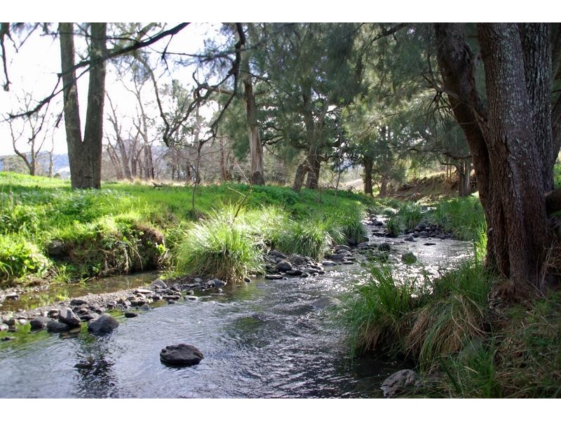 720 Sparkes Creek Road ( off Upper Dartbrook Road ), Scone NSW 2337