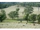 720 Sparkes Creek Road ( off Upper Dartbrook Road ), Scone NSW 2337