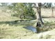 720 Sparkes Creek Road ( off Upper Dartbrook Road ), Scone NSW 2337