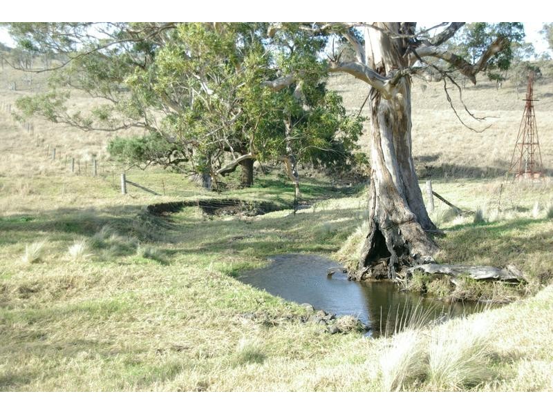 720 Sparkes Creek Road ( off Upper Dartbrook Road ), Scone NSW 2337