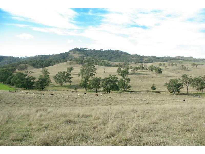 720 Sparkes Creek Road ( off Upper Dartbrook Road ), Scone NSW 2337