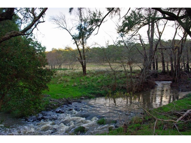 720 Sparkes Creek Road ( off Upper Dartbrook Road ), Scone NSW 2337