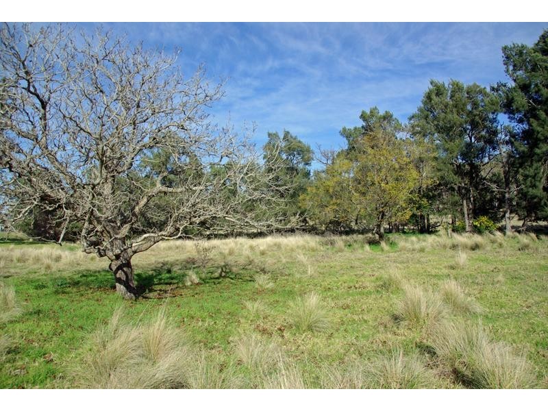 720 Sparkes Creek Road ( off Upper Dartbrook Road ), Scone NSW 2337