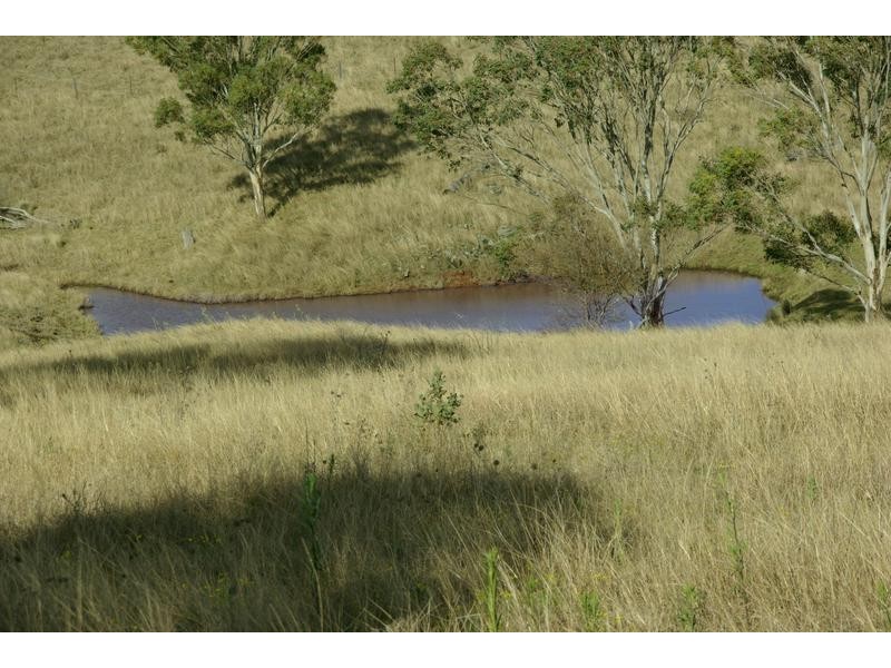 720 Sparkes Creek Road ( off Upper Dartbrook Road ), Scone NSW 2337