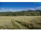 720 Sparkes Creek Road ( off Upper Dartbrook Road ), Scone NSW 2337