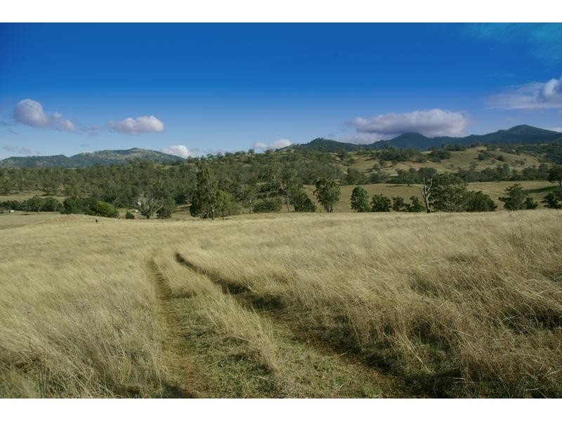 720 Sparkes Creek Road ( off Upper Dartbrook Road ), Scone NSW 2337