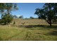 720 Sparkes Creek Road ( off Upper Dartbrook Road ), Scone NSW 2337