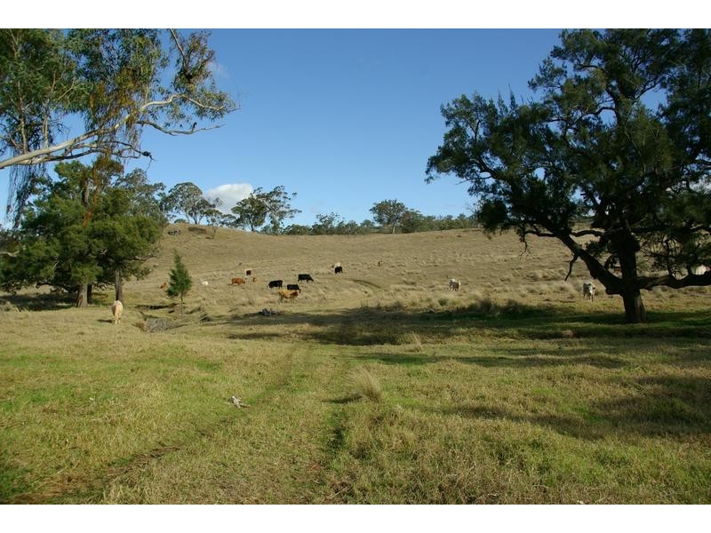 720 Sparkes Creek Road ( off Upper Dartbrook Road ), Scone NSW 2337