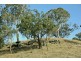 720 Sparkes Creek Road ( off Upper Dartbrook Road ), Scone NSW 2337