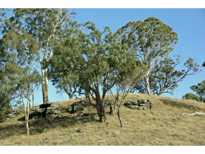720 Sparkes Creek Road ( off Upper Dartbrook Road ), Scone NSW 2337