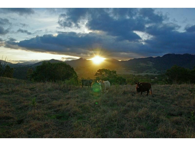 720 Sparkes Creek Road ( off Upper Dartbrook Road ), Scone NSW 2337