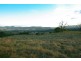 720 Sparkes Creek Road ( off Upper Dartbrook Road ), Scone NSW 2337