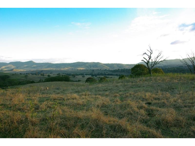 720 Sparkes Creek Road ( off Upper Dartbrook Road ), Scone NSW 2337