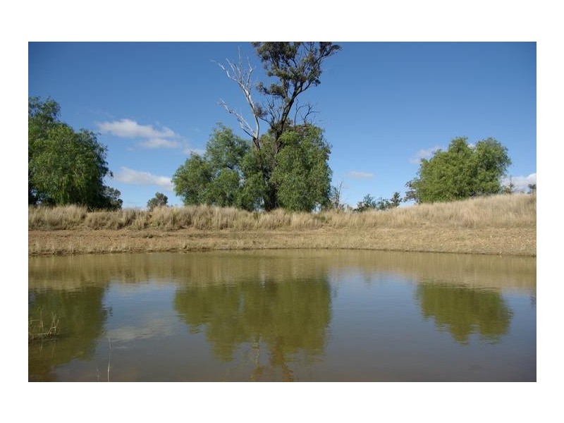 38 Moobi Road, Scone NSW 2337