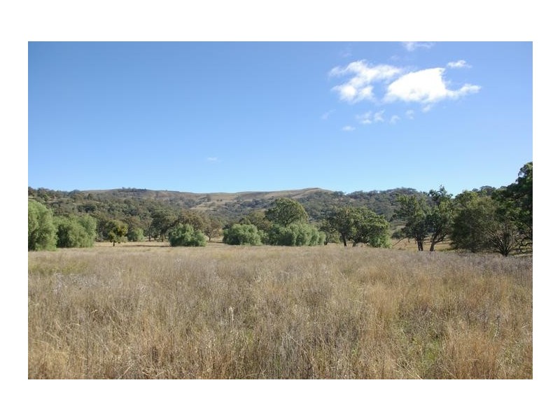 38 Moobi Road, Scone NSW 2337