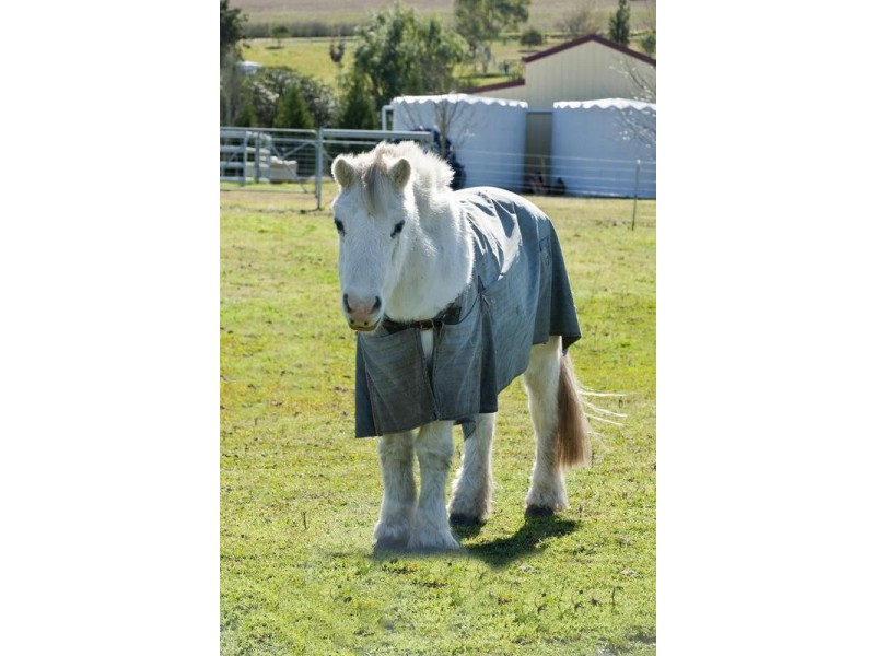 157 Allan Cunningham Road, Scone NSW 2337