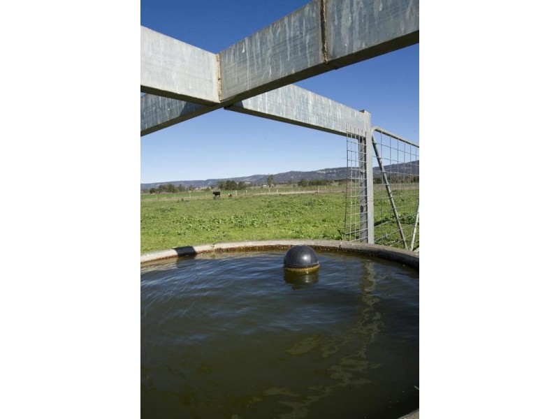 157 Allan Cunningham Road, Scone NSW 2337