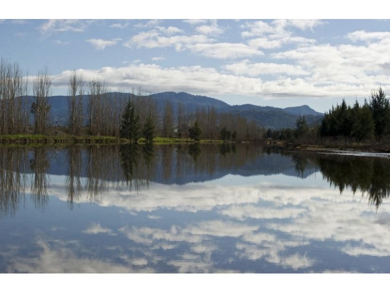 . Segenhoe Valley via, Scone NSW 2337