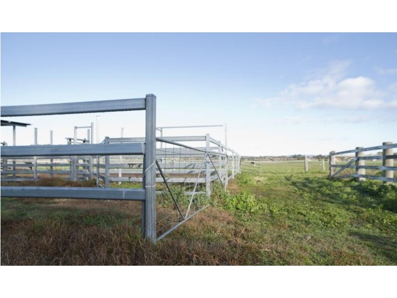 . Segenhoe Valley via, Scone NSW 2337