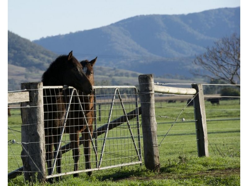 . Segenhoe Valley via, Scone NSW 2337