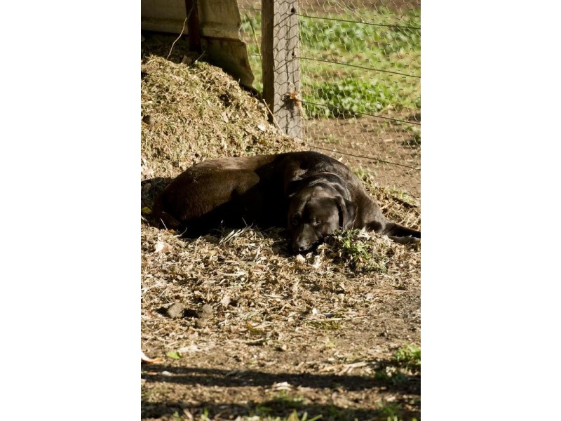 . Segenhoe Valley via, Scone NSW 2337