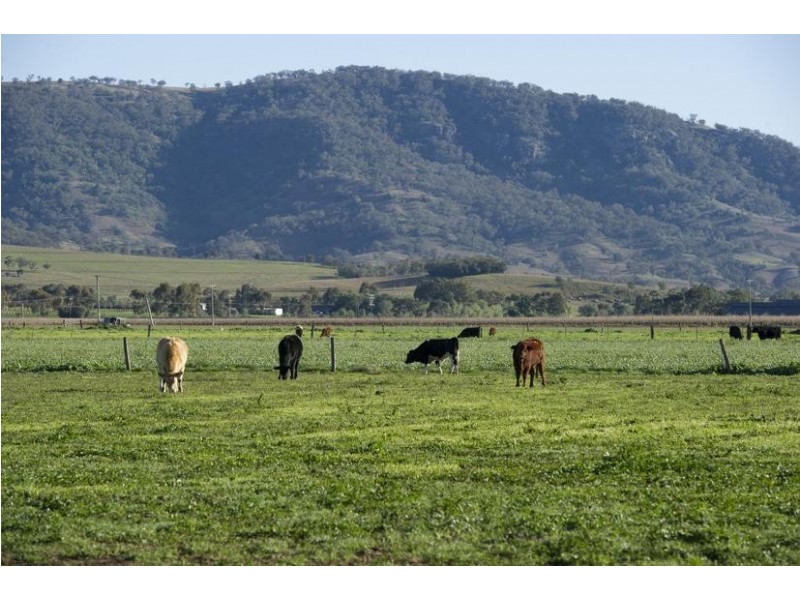 . Segenhoe Valley via, Scone NSW 2337