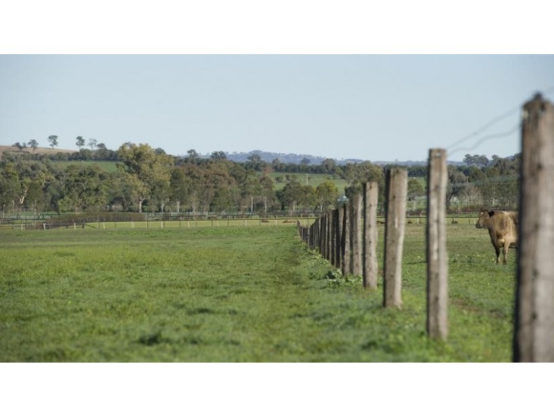 . Segenhoe Valley via, Scone NSW 2337