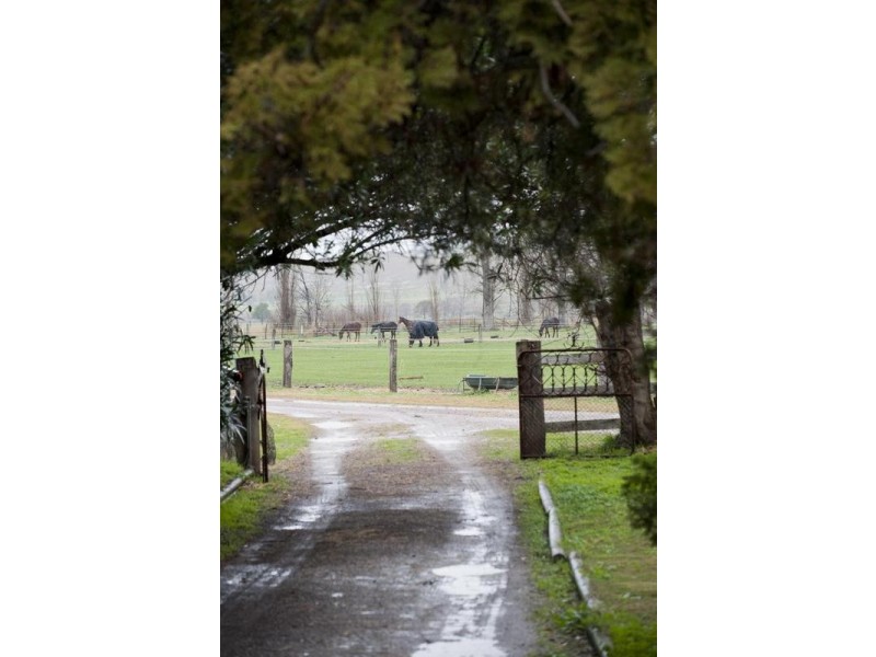 . Segenhoe Valley via, Scone NSW 2337