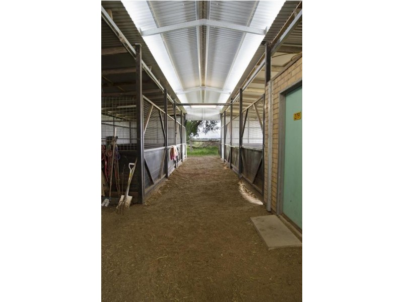 . Segenhoe Valley via, Scone NSW 2337