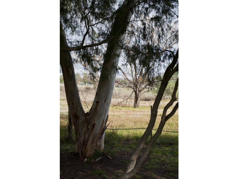 52 Satur Road, Scone NSW 2337