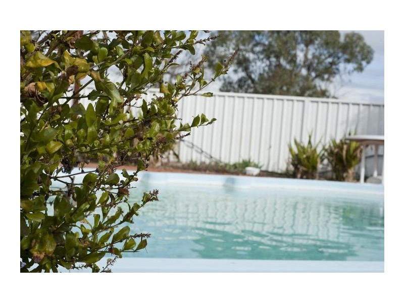 52 Satur Road, Scone NSW 2337