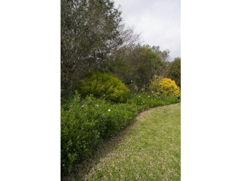 52 Satur Road, Scone NSW 2337