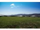 150 Moobi Road, Scone NSW 2337